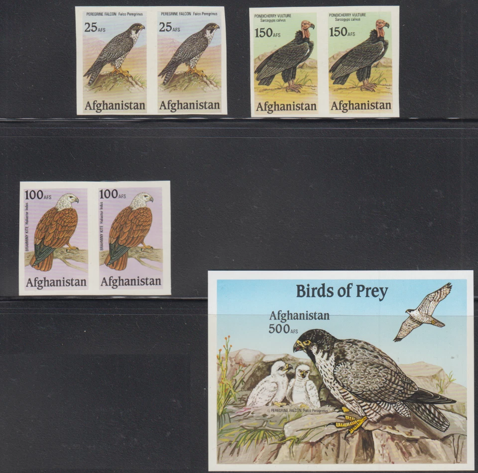 阿富汗 UNISSUED BIRDS OF PREY/FALCON/KITE/VULTURE STAMPS IMPERF MNH TOP214 — 第 1/1 张图片