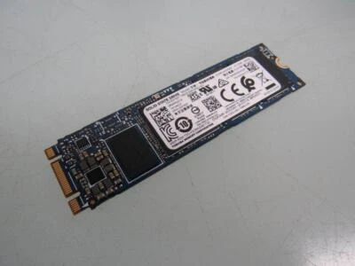 Toshiba SG6 Series 256GB TLC SATA 6Gbps M.2 2280 SSD KSG60ZMV256G Foto 1 de 3