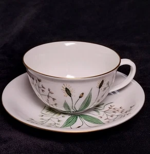 Juego de tazas y platillos de té Johann Haviland 1975 firmado botánico pintado a mano Baviera - Imagen 1 de 12