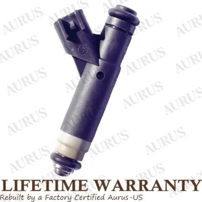 Inyector de combustible Siemens OEM para 03-04 Chrysler Town & Country Dodge Grand Caravan Foto 1 de 4