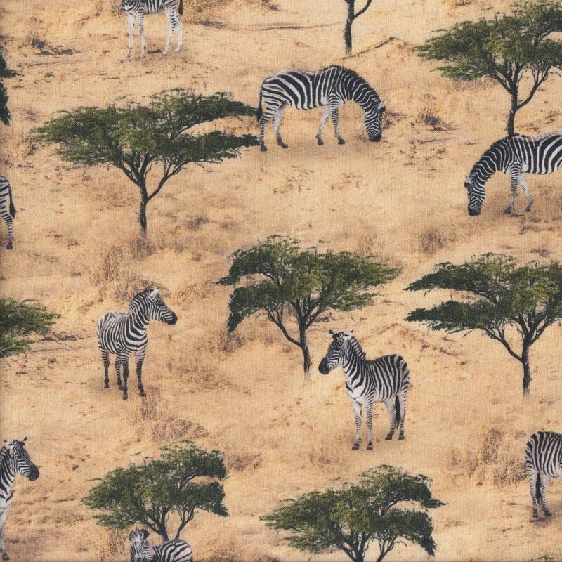 NEW Wild Zebra Savannah Wildlife African Safari Quilting Fabric 1/2 Metre - image 1 of 1