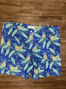 Abercrombie & Fitch Herren Ananas Badehose XL Badeshorts EUC - Bild 1 von 5