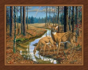 AFTER the RAIN Fabric Quilt Panel 36"x 45" , DEER, Buck, Hunting (see descriptio - Picture 1 of 2