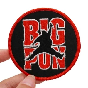 FABULOUS BIG PUN EMBROIDERED IRON-ON PATCH... - Picture 1 of 1
