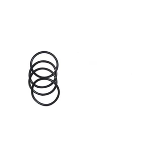 Port O-ring (10 pack) - 4405010438 for Astral pool pumps. - Picture 1 of 2