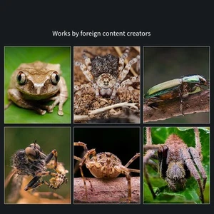 Lot d'objectifs macro conviviaux avec zoom 10 20x et lumière de remplissage pou - Photo 1 sur 12