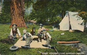OREGON OR - Sheep Herders Camp Eastern Oregon Four Men and Four Dogs Postcard - Picture 1 of 2