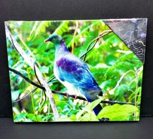 New Zealand Kereru WOOD PIGEON bird Print on Canvas color 2010 8x10 New - Picture 1 of 4