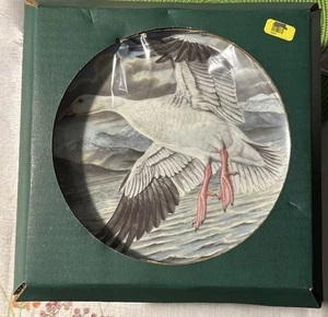Wasservögel der Welt ~ Schneegans ~ 9" Porzellan Sammelteller ~ 1981 - Bild 1 von 2