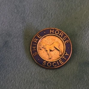 Vintage Shire Horse Society Enamel Pin Badge by Thomas Fattorini Birmingham - Picture 1 of 2