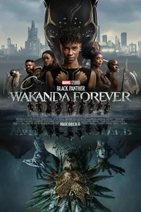 Black Panther Wakanda Forever E Original Movie Film Print Wall Poster 24x36 - Picture 1 of 1