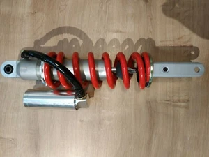 Originale Triumph Daytona 955i (VIN 132513 on) Urto Posteriore NUOVO T2050750 VENDITA - Foto 1 di 1