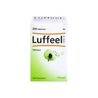 HEEL Luffa Compositum 250 Tablets Homeopathic Remedies