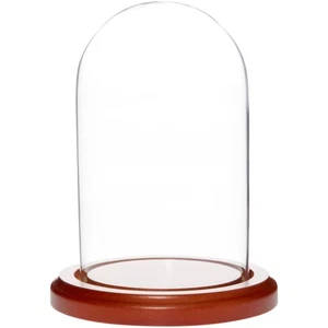 Plymor 3" x 5" Glass Display Dome Cloche (Walnut MDF Base) - Picture 1 of 3
