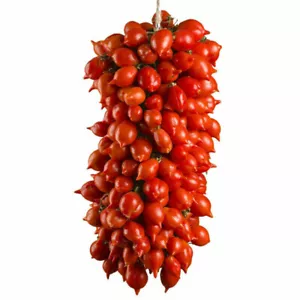 pomodoro PIENNOLO DEL VESUVIO 50 semi Solanum lycopersicum + OMAGGIO - Imagen 1 de 1