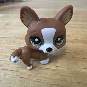 Littlest Pet Shop Authentic # 2150 Brown White Corgi Teal Eyes Neck Rust - Picture 1 of 3
