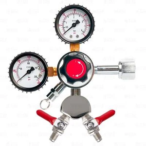 60 PSI Fassbier Co2 Regler Dual 1/4" MFL Absperrungen Kegerator Keezer 2 Ausgänge - Bild 1 von 3