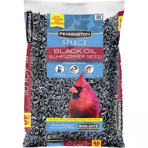 Pennington Select Black Oil Sunflower Seed Wild Bird Dry Feed, 40 lb. Bag New - Picture 1 of 7