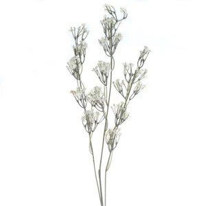 Set of 12 Artificial Gypsophilia Baby's Breath 22-1/2" Tall Floral Picks - Picture 1 of 4