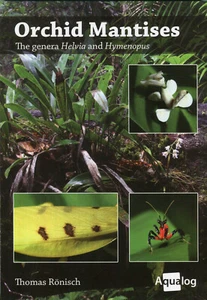 AQUALOG - Orchid Mantises – The Genera Helvia and Hymenopus - Picture 1 of 1