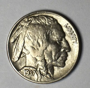 1937 P Buffalo Nickel Top Grade Full Date & Horn Wounded Speared Buffalo Error - Picture 1 of 15