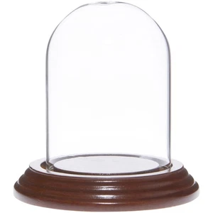 Plymor 2.5" x 3.5" Small Glass Display Dome Cloche (Walnut Veneer Base) - Picture 1 of 1