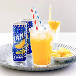 Jugo de piña flotante Rani con trozos de fruta en lata (24 x 235 ml) - Imagen 1 de 4