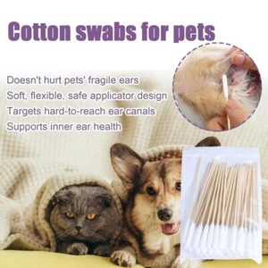 50/100x Dog Ear Cotton Buds 12cm Long Extra Large | Bamboo Cleaner Cleaning Best - Picture 1 of 11