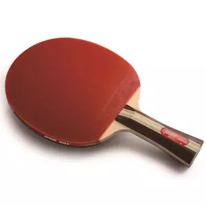 DHS Racket 3002 FL Table Tennis and Ping Pong Racket Blade, Authentic, Free Ship - Picture 1 of 2