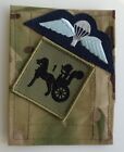 Royal Air Force Regiment 1 Squadron MTP Blanking Panel & Wings RAF