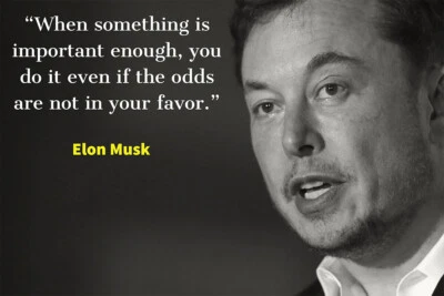 Genius Investor Elon Musk Quote Approach Art Wall - POSTER 20x30 - Image 1 of 4