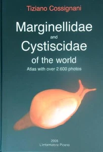 MARGINELLIDAE AND CYSTISCIDAE OF THE WORLD COSSIGNANI TIZIANO - Bild 1 von 1