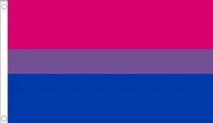 3' x 2' BI PRIDE FLAG Gay Rights BiSexual Festival Party Rainbow Lesbian LGBT - Picture 1 of 1