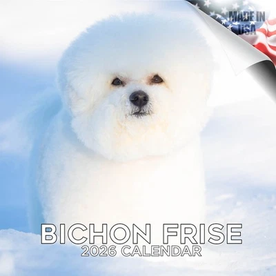 MEGACALENDARS Bichon Frise Dog Breed Calendar 2026 FULL SIZE 12x24 Made in USA