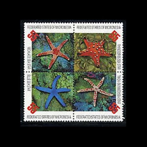 Micronesia, Sc #240a-d, MNH, 1996, Blk of 4, sea stars, marine life, SIDAS8Z-C - Picture 1 of 1