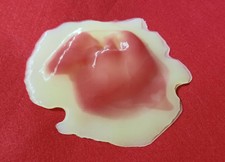 Star Trek TOS Flying Parasite Prop Reproduction as in Operation: Annihilate