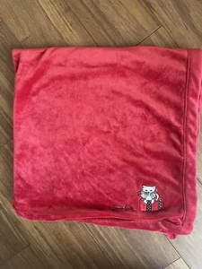 Gymboree Red Cat Jersey Knit Receiving Baby Crib Blanket Lovey Purrfect Red Back - Picture 1 of 4