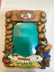 Disneyland SPLASH MOUNTAIN Brer Rabbit Br'er Bear 3D Resin 5 X 7 Picture Frame - Picture 1 of 4