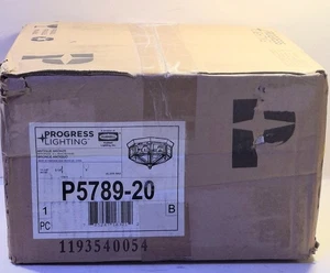 1 NEW PROGRESS LIGHTING P5789-20 LIGHT FLUSH MNT OTDR CEILING NIB **MAKE OFFER** - Picture 1 of 1