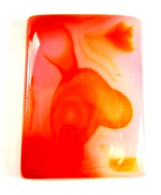 Rare Beautiful 42 Carat 30x21 Agate, With Natural Horse / Animal Design Foto 1 de 4