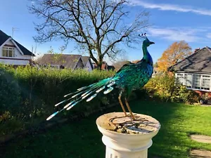 Große 64cm Exotischer Vogel Pfau blau Deko Garten Skulptur Statue Ornament - Bild 1 von 12