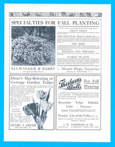 1905 Tulips Flowers Trees Multiple small antique print ads on one page Fall - Picture 1 of 1