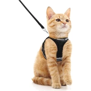 Bequemes Katzengeschirr mit Nylon-Leine für Kätzchen - Schwarz, M, verstellbar - Bild 1 von 12