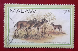 MALAWI 1981 7T Used Livingstone's Suni Antelope Mi 356 Scott 378 XF 6594 - Picture 1 of 2