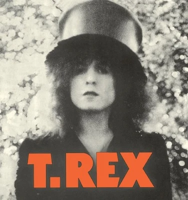 T-Rex The Slider 40Th Ann Japan-Only Book Style Sleeve 2Cd + DVD Japan Import - Image 1 of 2