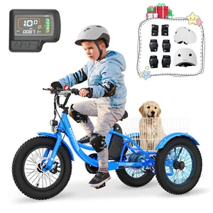NAIZEA 16" Electric Trike for Boy 250W Motor 12.5 mph Ebike Bicycle Rear Drive - Picture 1 of 8