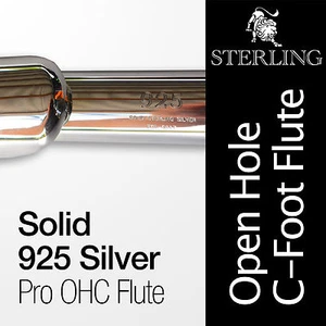 SOLID 925 SILVER Open Hole C Flute • With Case • Professional Quality • - Picture 1 of 8