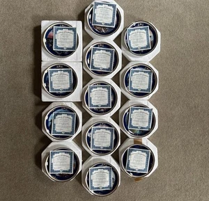 Targhe commemorative Bradford Exchange Titanic #1-13 con certificato di autenticità usate in ottime condizioni - Foto 1 di 22