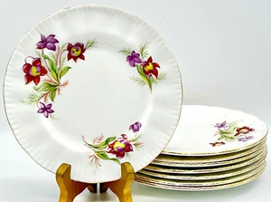 8 PARAGON CANADIAN PROVINCIAL FLOWERS BREAD PLATES, PITCHER PLANT, NEWFOUNDLAND - Picture 1 of 14