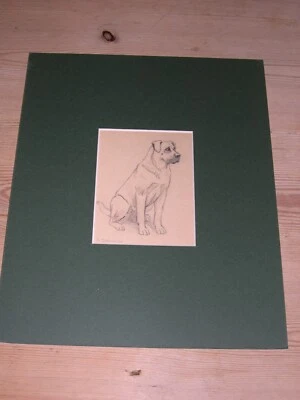 ANTIGUO RARO DIBUJO A LÁPIZ PERRO MASTÍN TORO POR D. JOHNSON BULLMASTIFF Foto 1 de 2